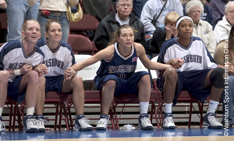 Washburn_Western_W_MSH271