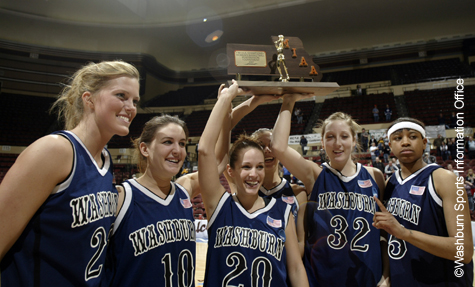 Washburn_Western_W_MSH300