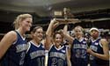 Washburn_Western_W_MSH300